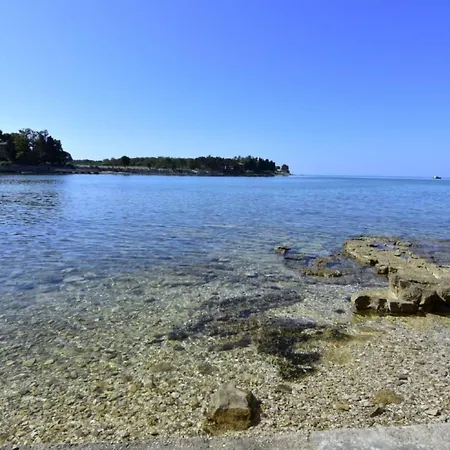 Appartement Mit Blick Auf Wasser By Interhome