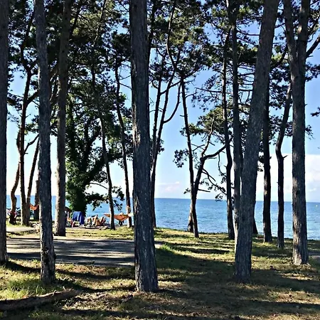 Appartement Mit Blick Auf Wasser By Interhome *