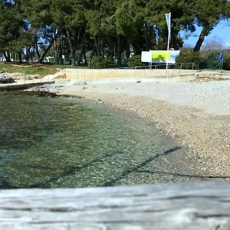 Mit Blick Auf Wasser By Interhome Apartment