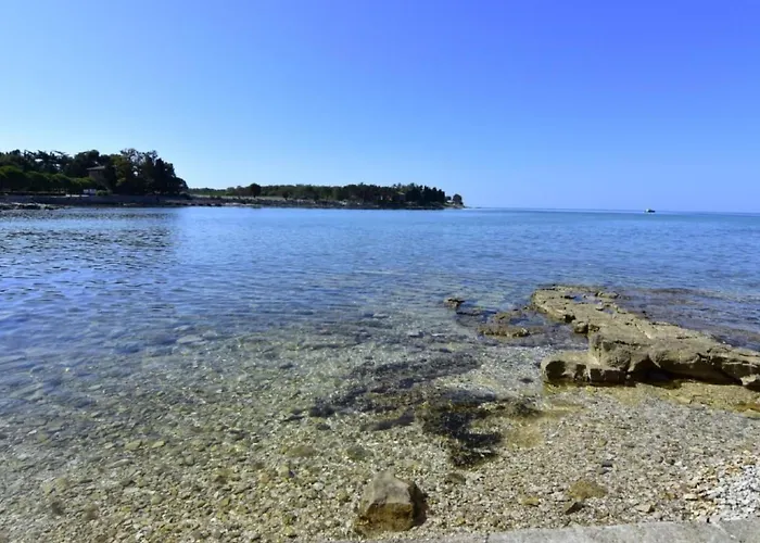 Apartment Mit Blick Auf Wasser By Interhome